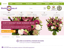 Tablet Screenshot of boeketcadeau.nl